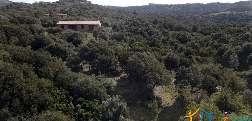 Unfinished Villas On Panoramic Plot for Sale Near Santa Teresa Di Gallura, Northern Sardinia