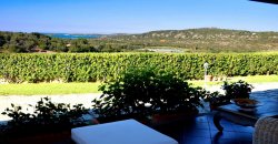 210 M2 Villa and 1.0 Ha Land With Sea Views 7 Km Porto Rotondo North East Sardinia