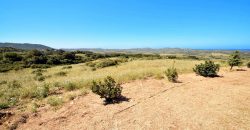 Sardinian Cottage With 3 Ha Land for Sale Near Aglientu, Northern Sardinia