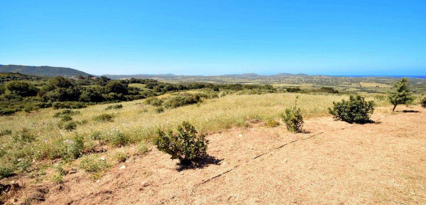 Sardinian Cottage With 3 Ha Land for Sale Near Aglientu, Northern Sardinia