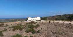 Sardinian Cottage With 3 Ha Land for Sale Near Aglientu, Northern Sardinia