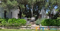 Elegant Villa With 2800 M2 Garden Near Porto Cervo,north East Sardinia