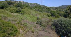 2,7 Ha Buildable Land for Sale Near the Sea in Aglientu, North Sardinia