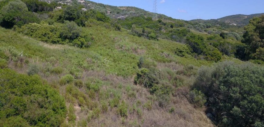 2,7 Ha Buildable Land for Sale Near the Sea in Aglientu, North Sardinia