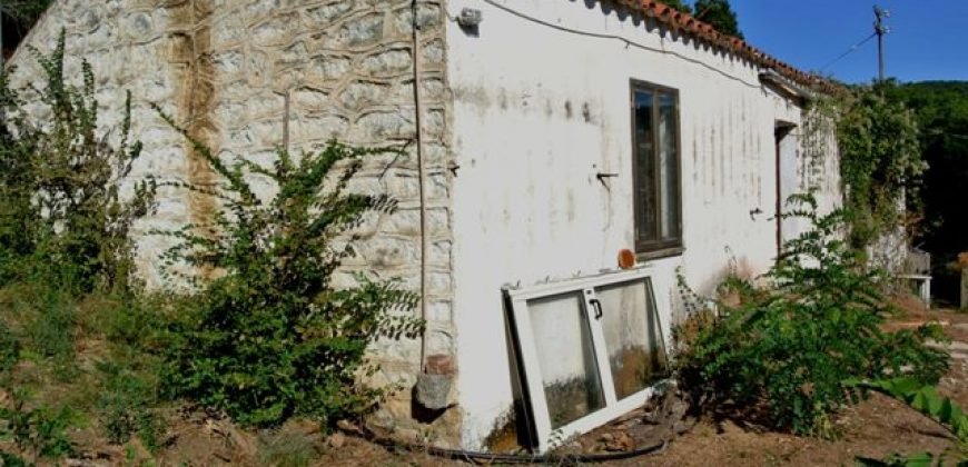 3,6 Ha Land and 280 M2 Farmhouse for Sale in Medieval Luogosanto, 20 Km from the Sea, North  Sardinia