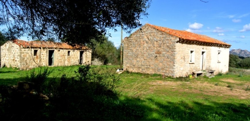 Fabolous 6 Ha Land and 130 M2 Farmhouse for Sale in Arzachena 17 Km from Porto Cervo