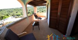 For Sale: Stunning Villas with Sea View and Pool in Pittulongu,North East Sardinia