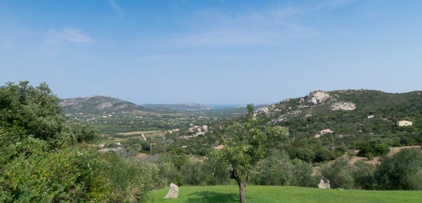 Magnificent Villas With Large Land and Sea Views for Sale Near Palau, Northern Sardinia