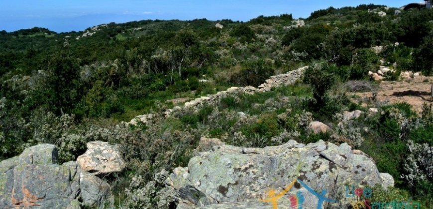 Fantastic 2,7 Ha Land and Unfinished Villa With Sea Views in Aglientu, North East Sardinia