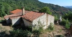 3,6 Ha Land and 280 M2 Farmhouse for Sale in Medieval Luogosanto, 20 Km from the Sea, North  Sardinia