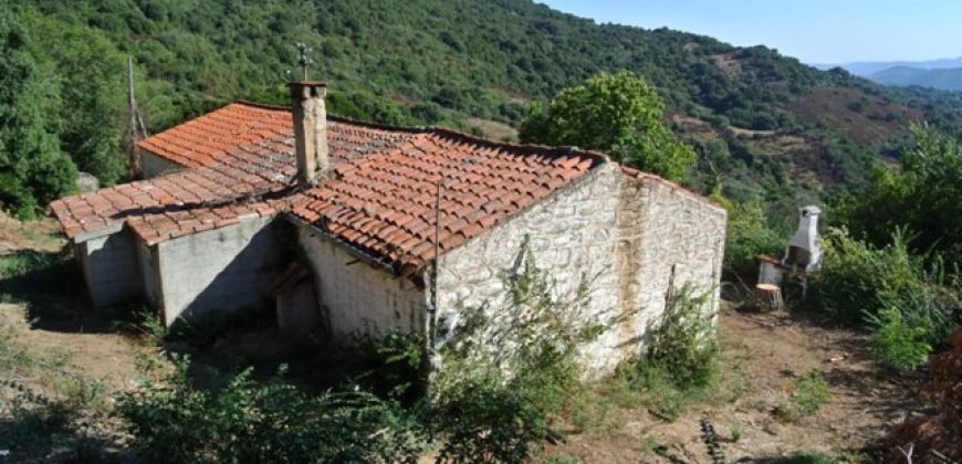 3,6 Ha Land and 280 M2 Farmhouse for Sale in Medieval Luogosanto, 20 Km from the Sea, North  Sardinia