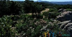 Fantastic 2,7 Ha Land and Unfinished Villa With Sea Views in Aglientu, North East Sardinia