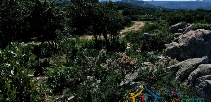 Fantastic 2,7 Ha Land and Unfinished Villa With Sea Views in Aglientu, North East Sardinia