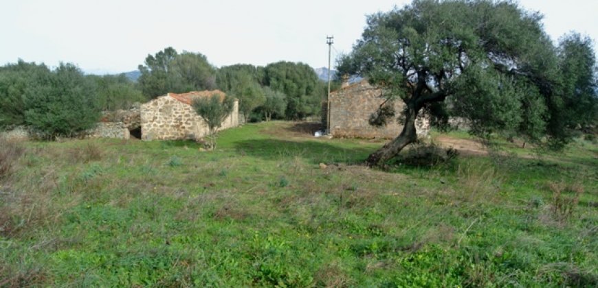 Fabolous 6 Ha Land and 130 M2 Farmhouse for Sale in Arzachena 17 Km from Porto Cervo