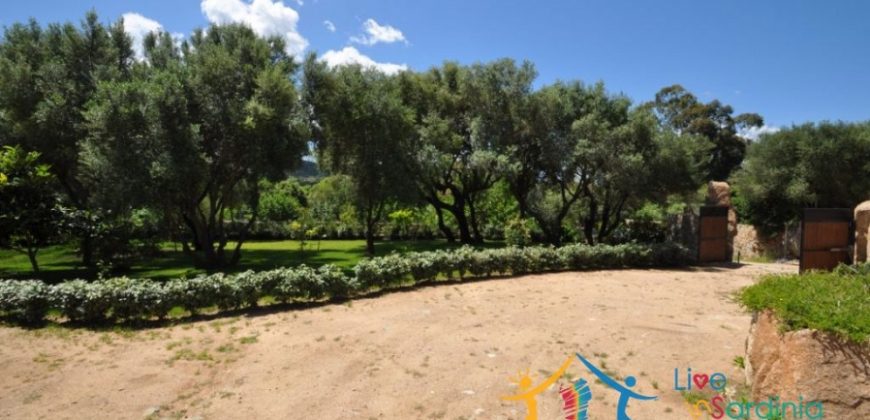 Elegant Villa With 2800 M2 Garden Near Porto Cervo,north East Sardinia