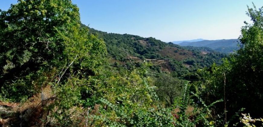 3,6 Ha Land and 280 M2 Farmhouse for Sale in Medieval Luogosanto, 20 Km from the Sea, North  Sardinia