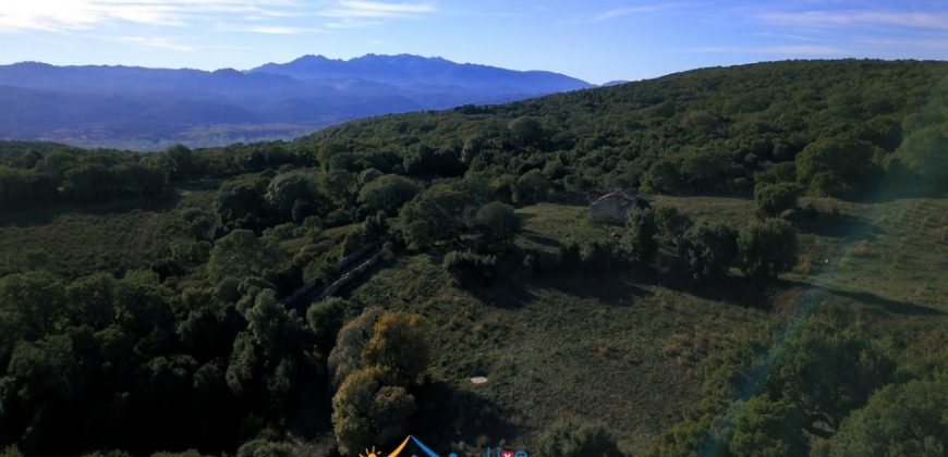 Fabolous 10 Ha Land and 86 M2 Farmhouse for Sale in Luogosanto 23 Km from Arzachena North Sardinia