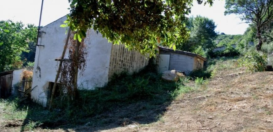 3,6 Ha Land and 280 M2 Farmhouse for Sale in Medieval Luogosanto, 20 Km from the Sea, North  Sardinia