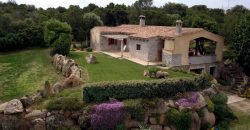 Refined 5 Bed Villa With Sea Views and 1,4 Ha Park Near Porto Cervo North East Sardinia