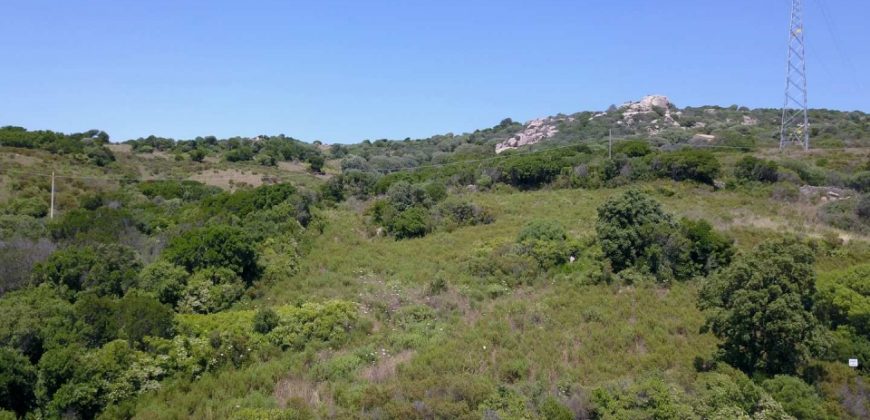 2,7 Ha Buildable Land for Sale Near the Sea in Aglientu, North Sardinia