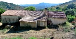 3,6 Ha Land and 280 M2 Farmhouse for Sale in Medieval Luogosanto, 20 Km from the Sea, North  Sardinia