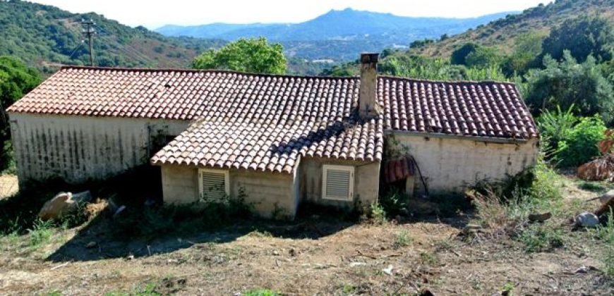 3,6 Ha Land and 280 M2 Farmhouse for Sale in Medieval Luogosanto, 20 Km from the Sea, North  Sardinia