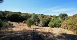 Country Home To Be Restored For Sale In Luogosanto Northern Sardinia