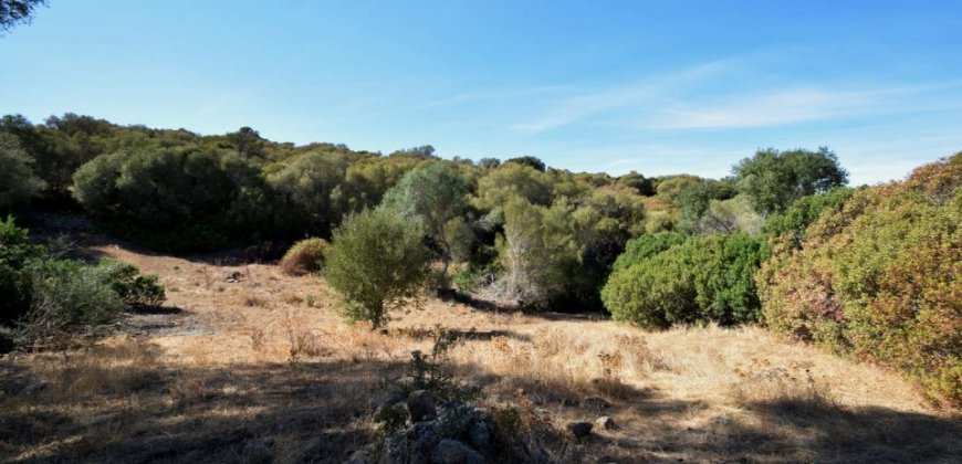 Country Home To Be Restored For Sale In Luogosanto Northern Sardinia