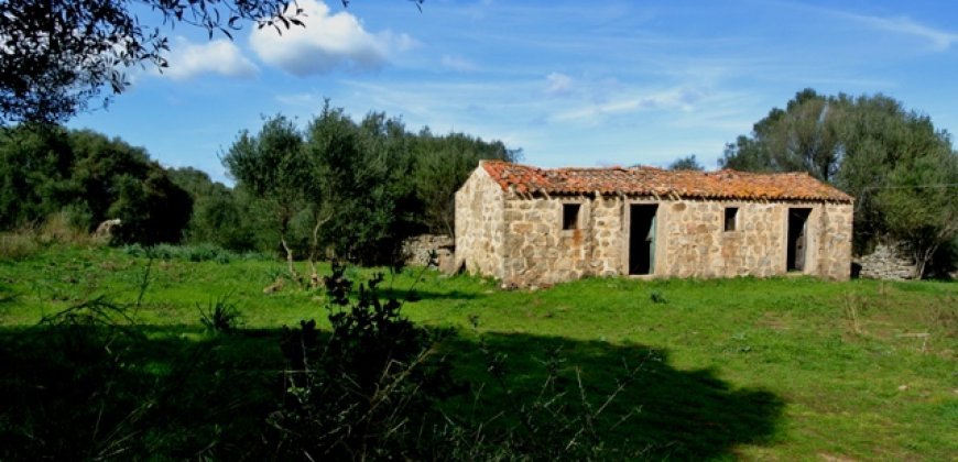 Fabolous 6 Ha Land and 130 M2 Farmhouse for Sale in Arzachena 17 Km from Porto Cervo