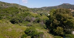 2,7 Ha Buildable Land for Sale Near the Sea in Aglientu, North Sardinia