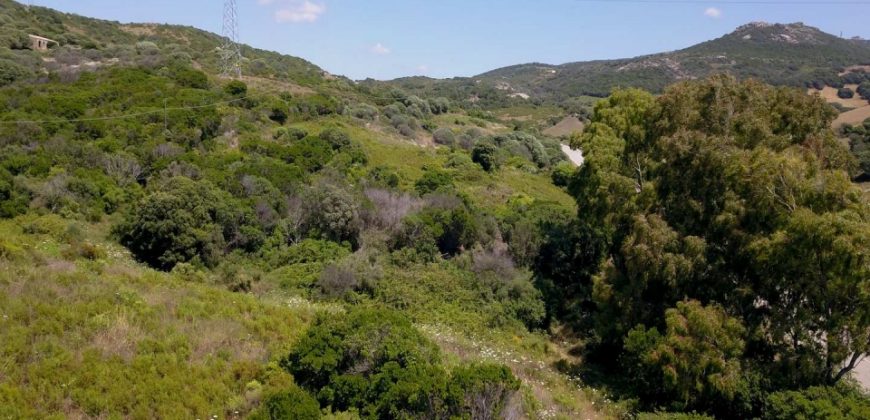 2,7 Ha Buildable Land for Sale Near the Sea in Aglientu, North Sardinia