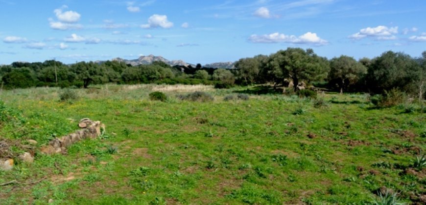 Fabolous 6 Ha Land and 130 M2 Farmhouse for Sale in Arzachena 17 Km from Porto Cervo