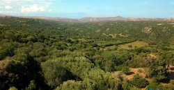 Country Home To Be Restored For Sale In Luogosanto Northern Sardinia