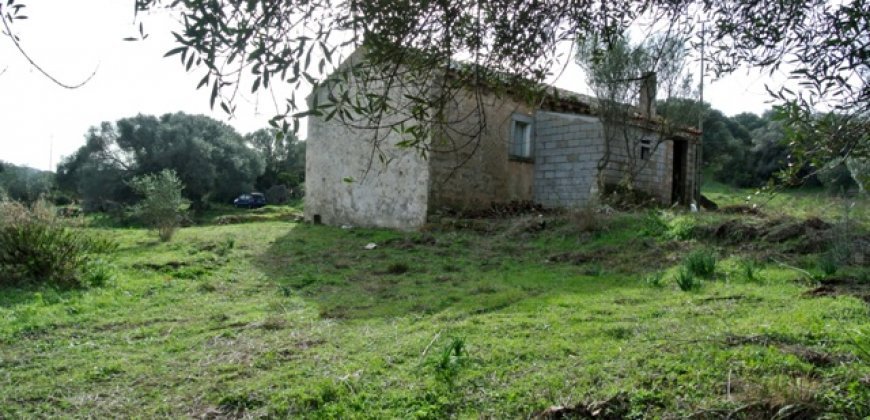 Fabolous 6 Ha Land and 130 M2 Farmhouse for Sale in Arzachena 17 Km from Porto Cervo