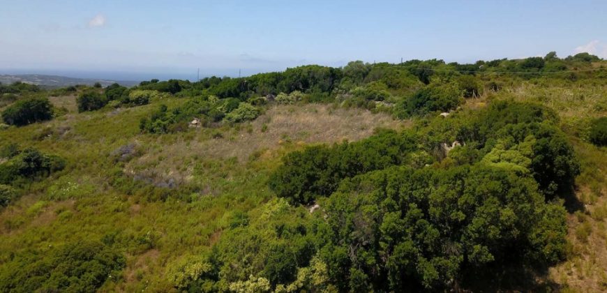 2,7 Ha Buildable Land for Sale Near the Sea in Aglientu, North Sardinia