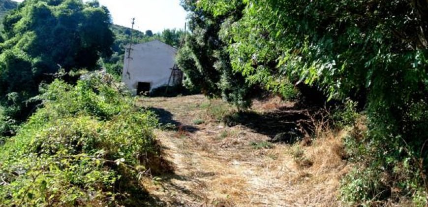 3,6 Ha Land and 280 M2 Farmhouse for Sale in Medieval Luogosanto, 20 Km from the Sea, North  Sardinia