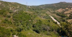 2,7 Ha Buildable Land for Sale Near the Sea in Aglientu, North Sardinia