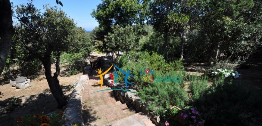 Gracious Villa With Sea Views for Sale in Liscia Di Vacca