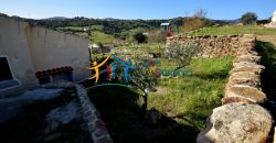 Gracious Sardinian Style Complex 3 Km from the Beach, North East Sardinia