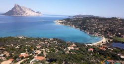 Superb Sea Front Villa for Sale in Cala Girgolu, North East Sardinia