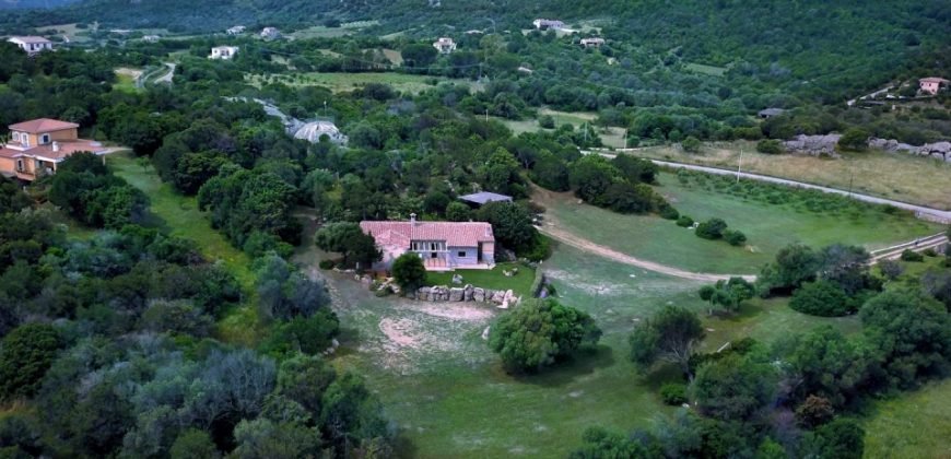 Refined 5 Bed Villa With Sea Views and 1,4 Ha Park Near Porto Cervo North East Sardinia