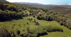 Fabolous 2,3 Ha Land and 350 M2 Farmhouse for Sale in Luogosanto 20 Km from the Beach, North East Sardinia