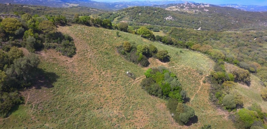 Fabolous 2,3 Ha Land and 350 M2 Farmhouse for Sale in Luogosanto 20 Km from the Beach, North East Sardinia