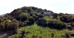 Fabolous 2,3 Ha Land and 350 M2 Farmhouse for Sale in Luogosanto 20 Km from the Beach, North East Sardinia