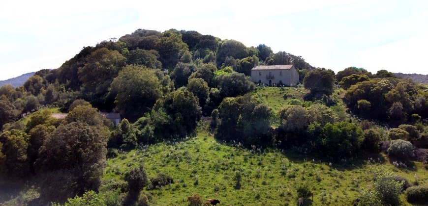 Fabolous 2,3 Ha Land and 350 M2 Farmhouse for Sale in Luogosanto 20 Km from the Beach, North East Sardinia