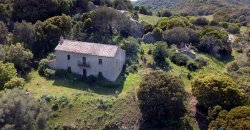 Fabolous 2,3 Ha Land and 350 M2 Farmhouse for Sale in Luogosanto 20 Km from the Beach, North East Sardinia