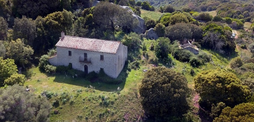 Fabolous 2,3 Ha Land and 350 M2 Farmhouse for Sale in Luogosanto 20 Km from the Beach, North East Sardinia