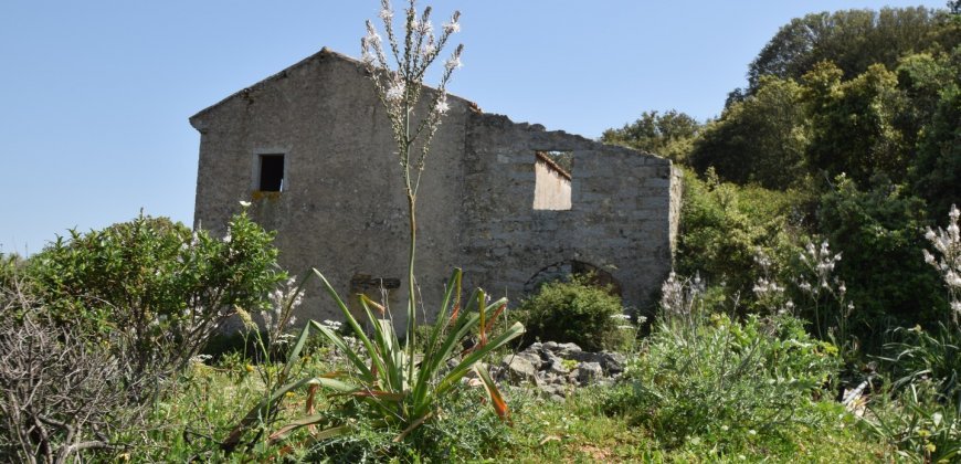 Fabolous 2,3 Ha Land and 350 M2 Farmhouse for Sale in Luogosanto 20 Km from the Beach, North East Sardinia