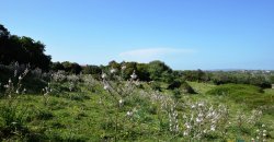 Fabolous 2,3 Ha Land and 350 M2 Farmhouse for Sale in Luogosanto 20 Km from the Beach, North East Sardinia