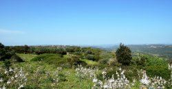 Fabolous 2,3 Ha Land and 350 M2 Farmhouse for Sale in Luogosanto 20 Km from the Beach, North East Sardinia